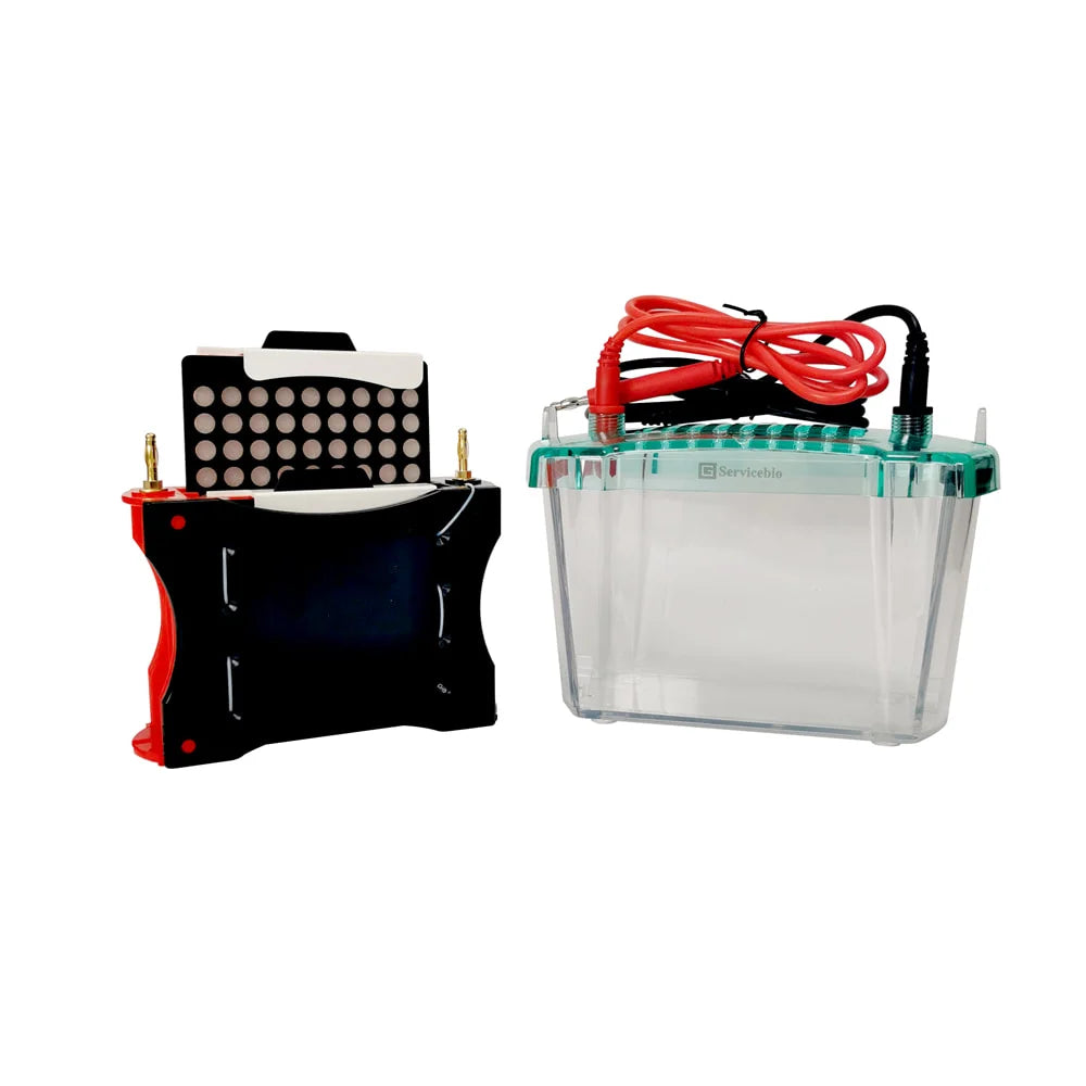 GL0706: Electrophoresis System (Transfer)