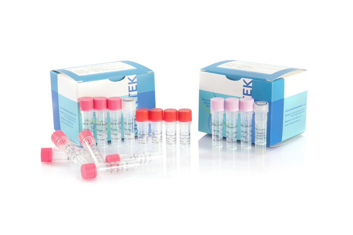 1103174: SHENTEK® Residual Vero DNA Size Analysis Kit (2G), Validation report is available upon request