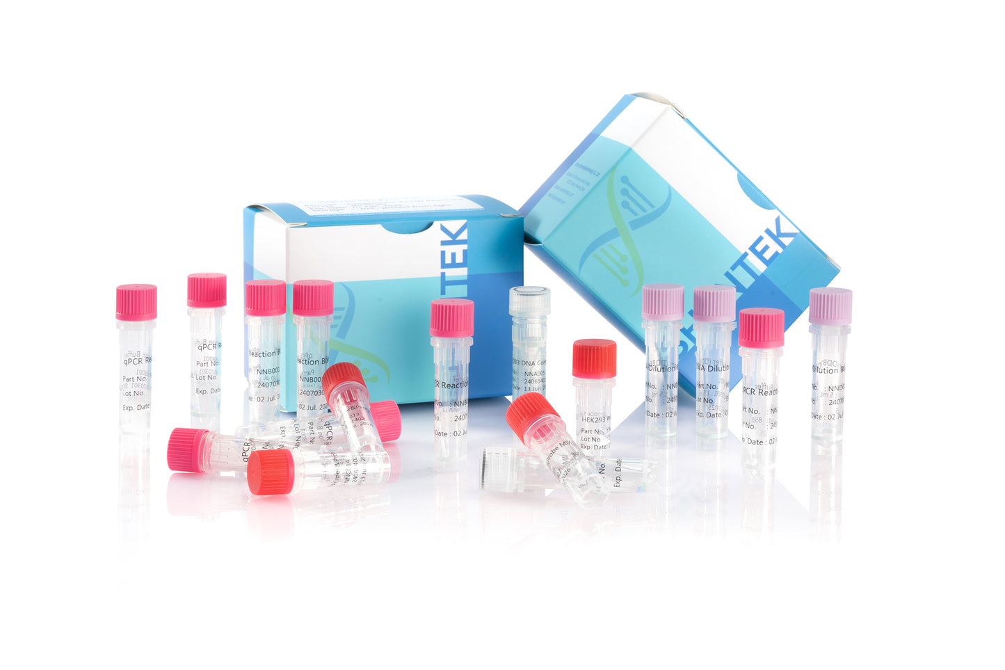 1103176: SHENTEK® Residual HEK293 DNA Size Analysis Kit, Validation report is available upon request