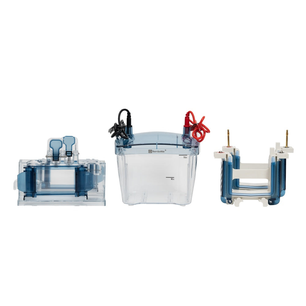 BVE-4:Vertical Electrophoresis System (Split-type design, up to 4 gels simultaneously)