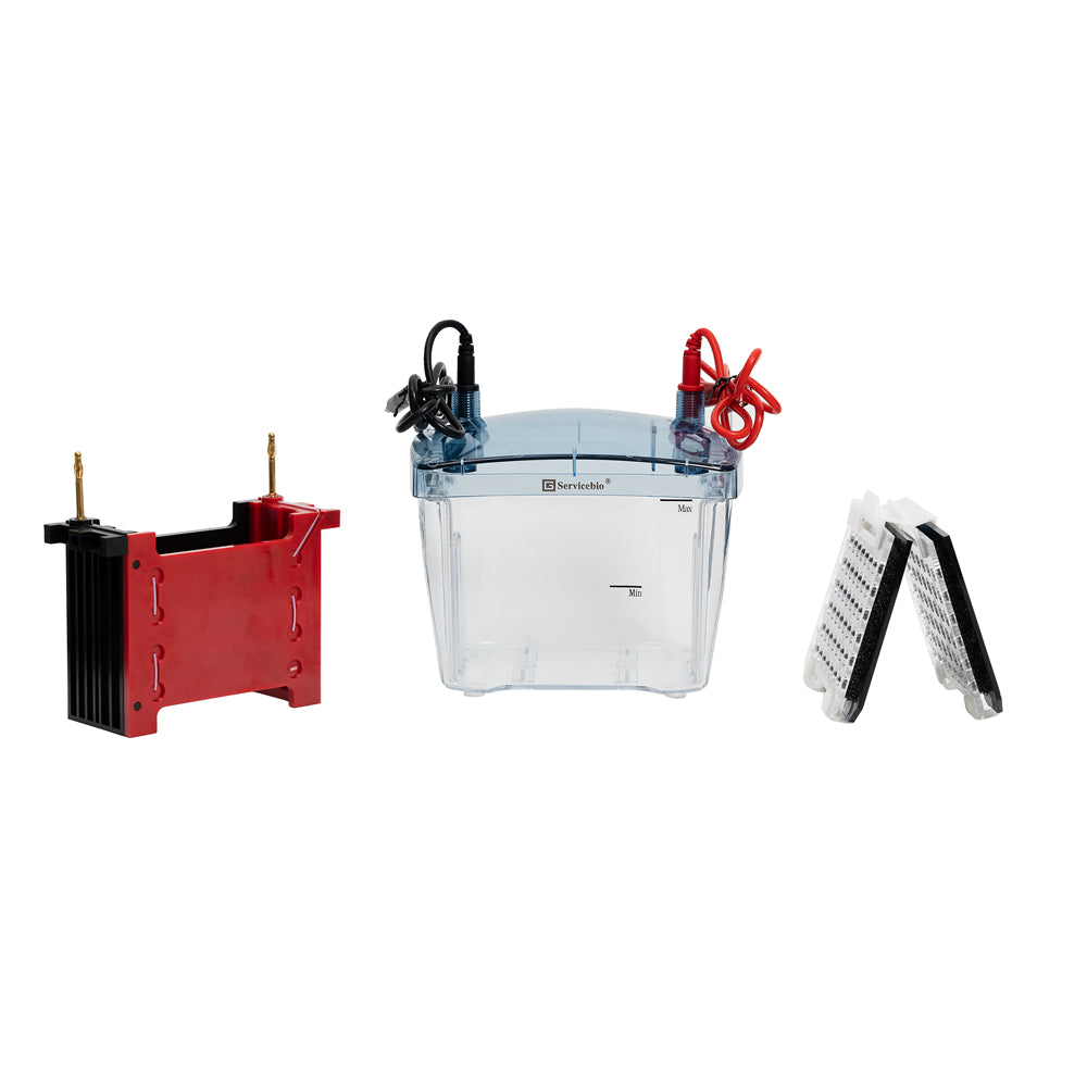 BVT-2: Transfer Electrophoresis System (Split-type design, up to 2 gels simultaneously)