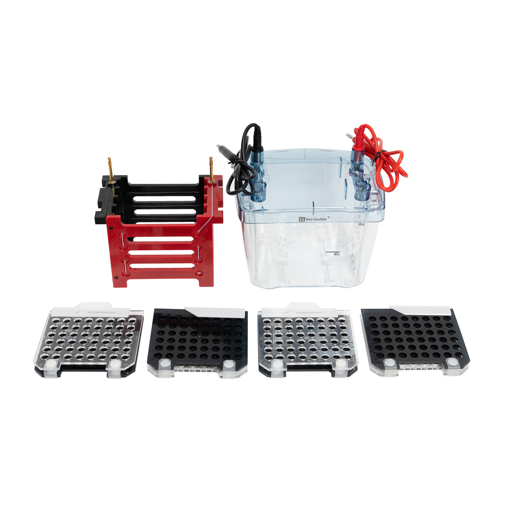 BVT-4: Transfer Electrophoresis System (Split-type design, up to 4 gels simultaneously)