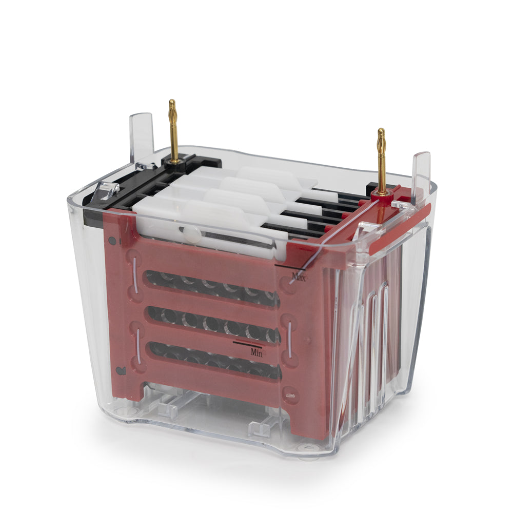 BVT-4: Transfer Electrophoresis System (Split-type design, up to 4 gels simultaneously)