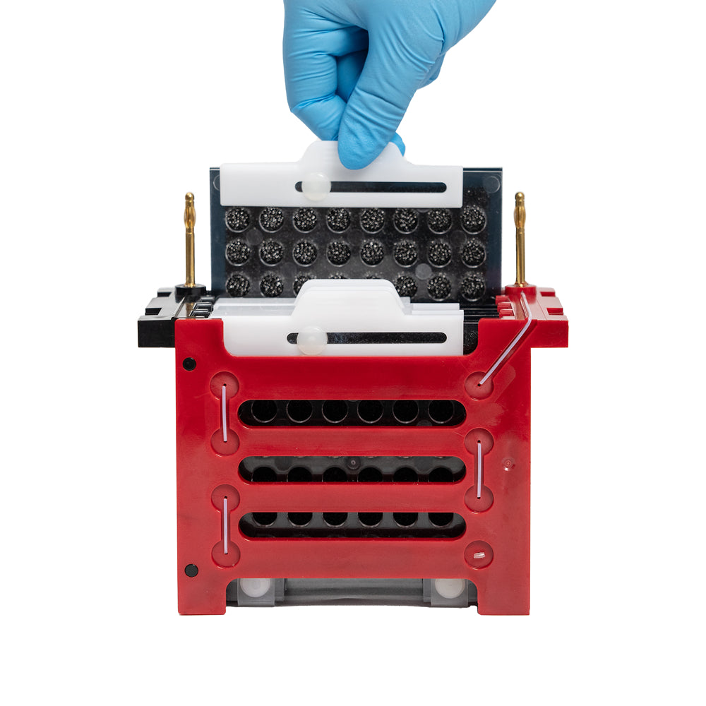 BVT-4: Transfer Electrophoresis System (Split-type design, up to 4 gels simultaneously)