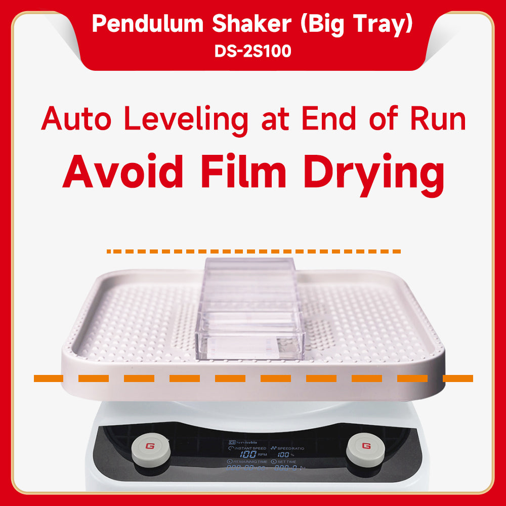 DS-2S100: Pendulum Shaker (Big Tray)