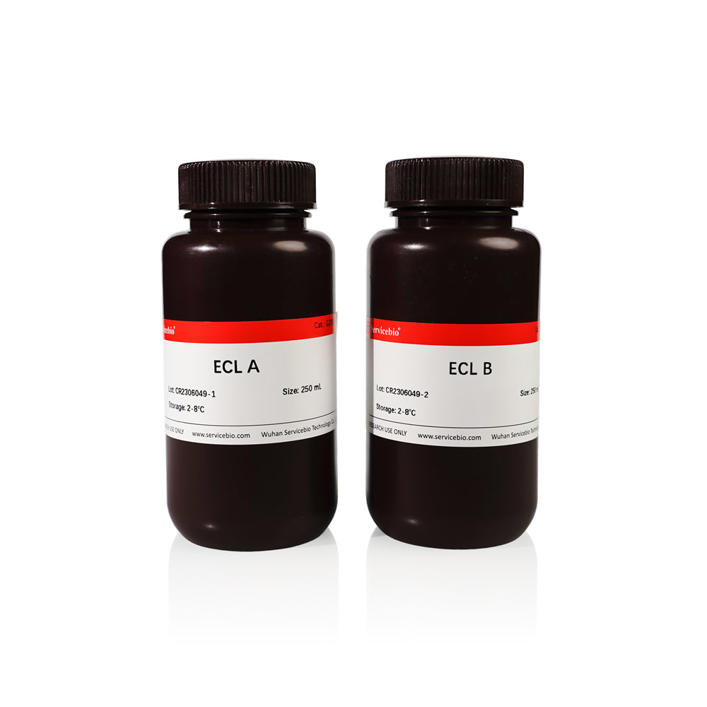 GL2014: ECL Chemiluminescence Kit
