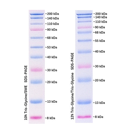 G2083: Prestained Protein Marker Ⅳ (8-200 kDa), 250ul