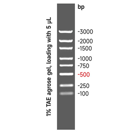 G3360: GN3K DNA Marker 500 μL