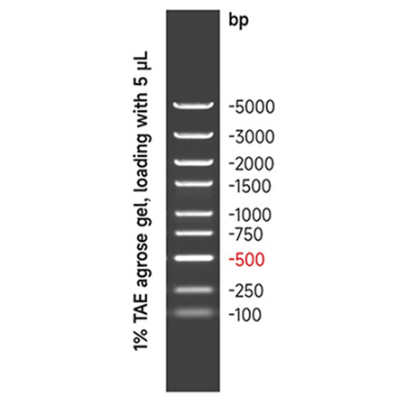 G3361: GN5K DNA Marker 500 μL