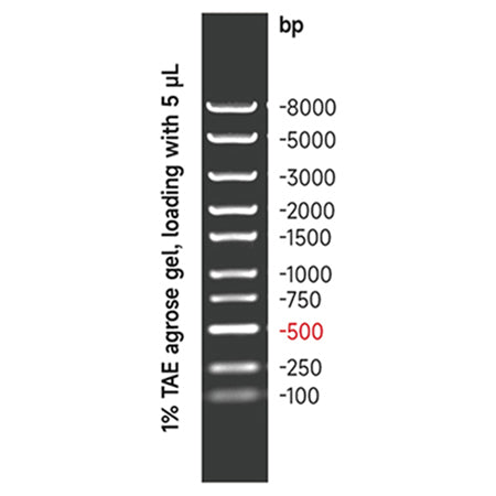 G3362: GN8K DNA Marker 500 μL