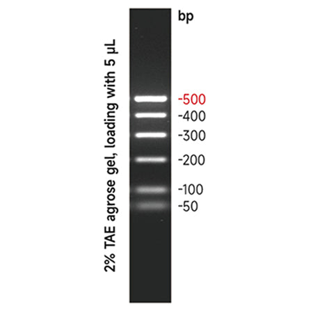 G3365: GN100bp DNA Ladder 500 μL