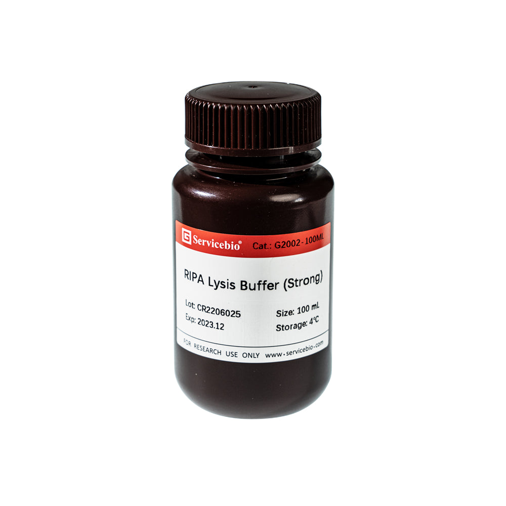 GL2002 (GL2033): RIPA Lysis Buffer (strong, weak)