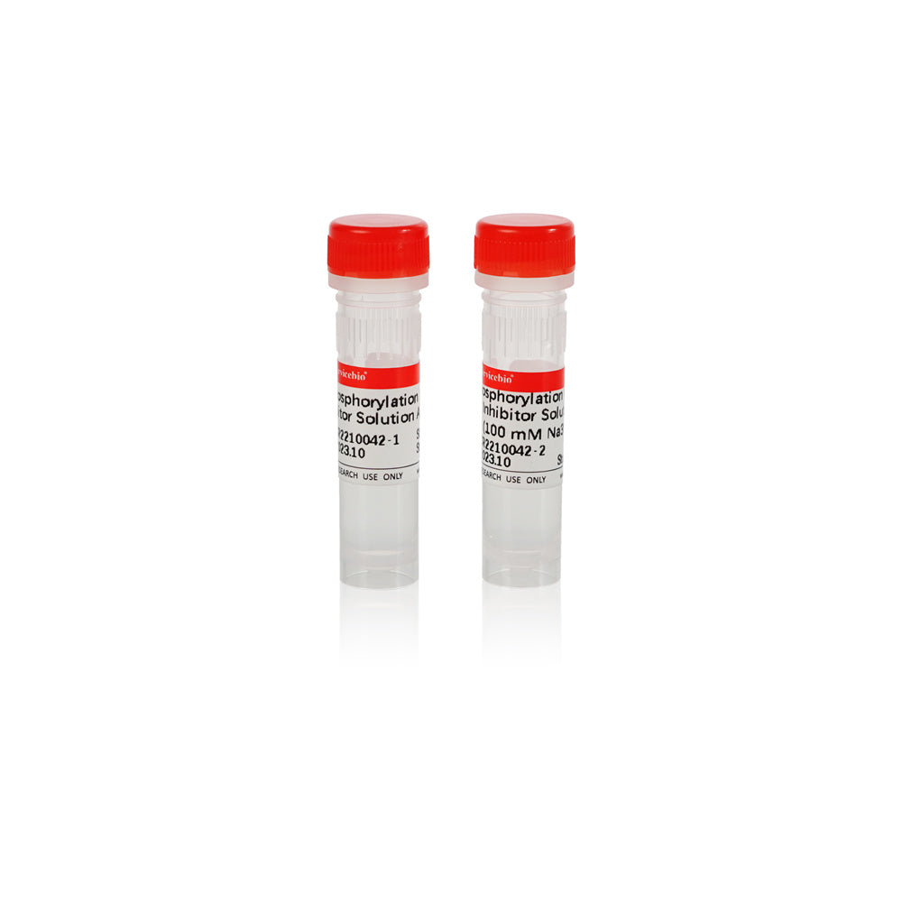 GL2007: 100×,Phosphoprotease inhibitor, 1 mL×2