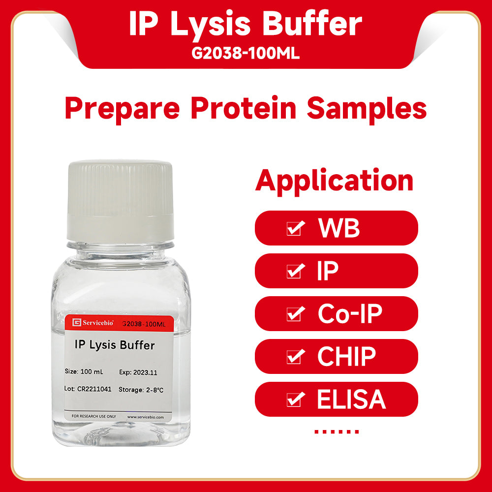 GL2038: IP Lysis Buffer 100ml