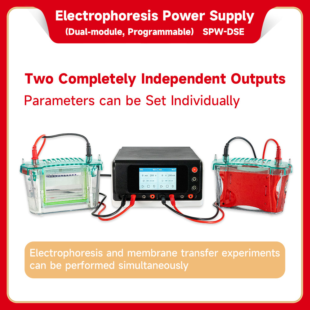 SPW-DSE:Electrophoresis Power Supply (Dual Module, Programmable)