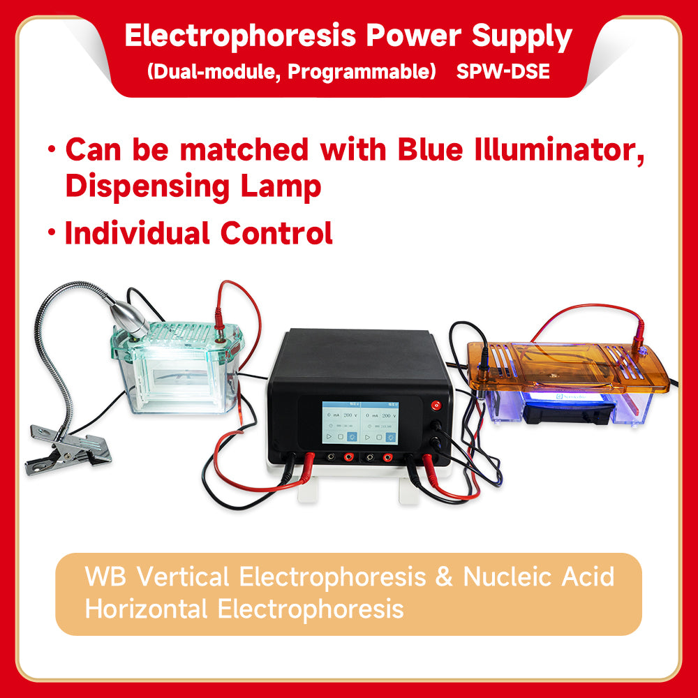 SPW-DSE:Electrophoresis Power Supply (Dual Module, Programmable)