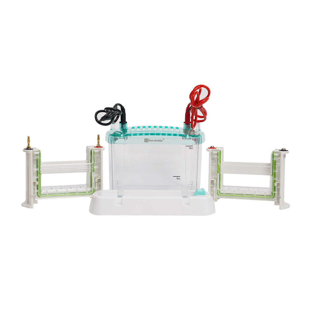 SVE-4:Vertical Electrophoresis System (Integrated, up to 4 gels at the same time)