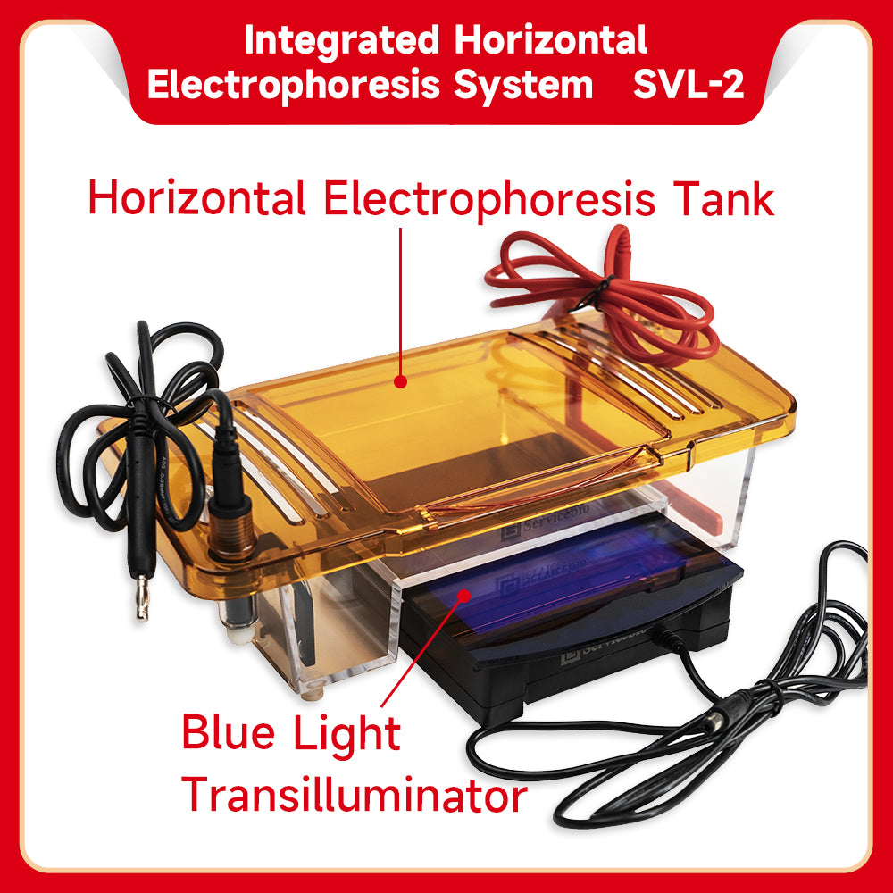 SVL-2:Integrated Horizontal Electrophoresis System