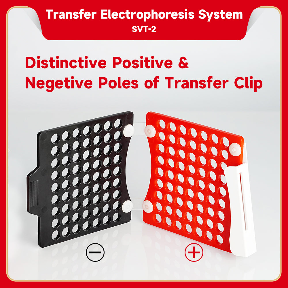 SVT-2:Transfer Electrophoresis System