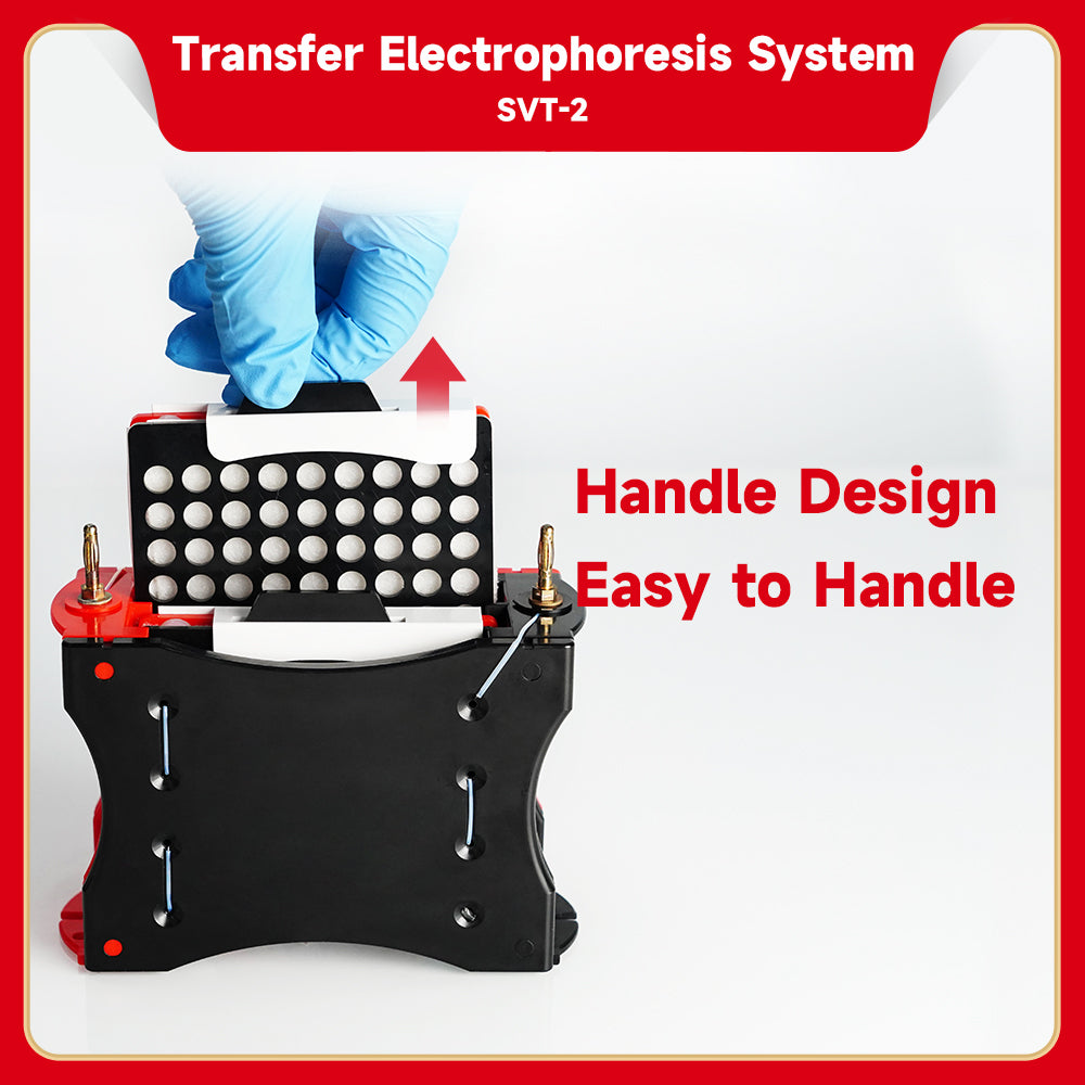 SVT-2:Transfer Electrophoresis System