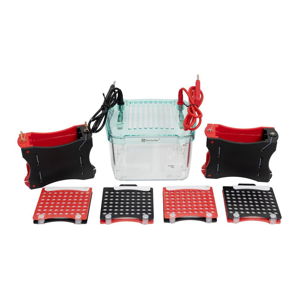 SVT-4: Transfer Electrophoresis System (Integrated, blotting 4 gels simultaneously)