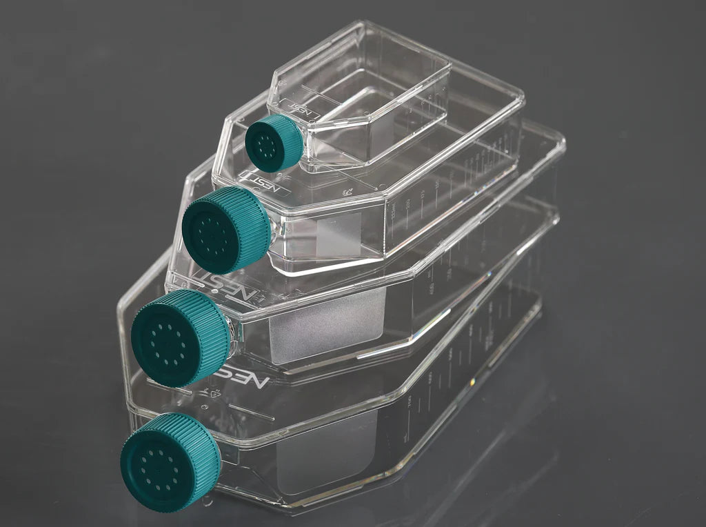 CB-75EVS: 75cm2 Cell culture flask, vent vap, TC, sterile, 5/pk, 100/cs