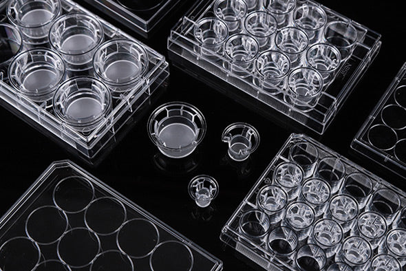 CP-6FTS: 6-Well (12/24/48-well, by inquiry), Flat, TC, sterile, 1/pk, 50/cs