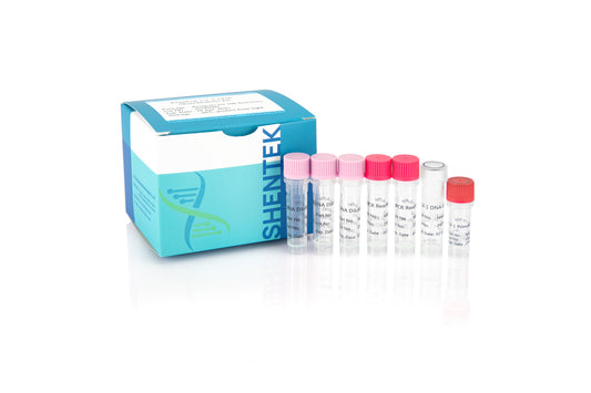 1101105: SHENTEK® Residual CV-1 DNA Quantitation Kit