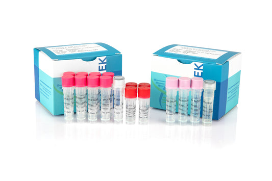 1103171-2: SHENTEK® Residual E. coli DNA Size Analysis Kit (2G)