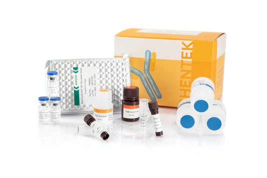 1301302: SHENTEK® E.coli (K-12 & Alkaline Lysis) HCP ELISA Kit