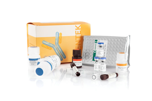 1301305: SHENTEK® CHO K1 HCP ELISA Kit (One-step ELISA)