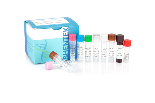 1505700: SHENTEK® Reverse Transcriptase Assay kit