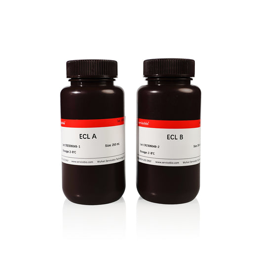GL2014: ECL Chemiluminescence Kit