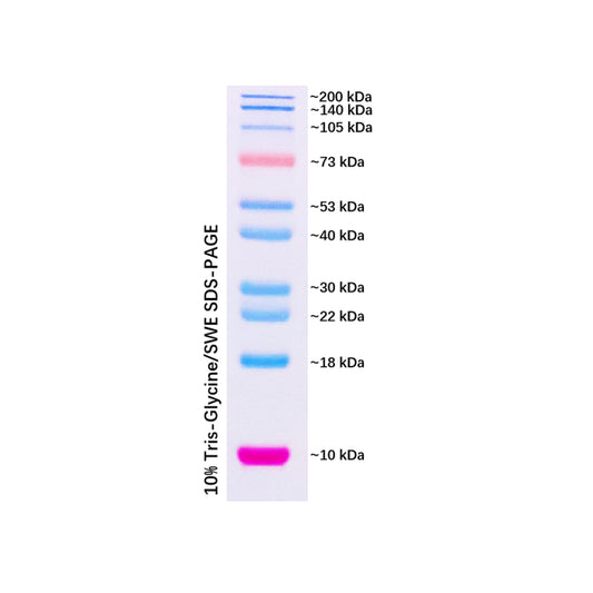 G2058: Prestained Protein Marker II (10-200 kDa), 250ul