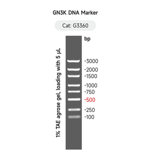 G3360: GN3K DNA Marker 500 μL