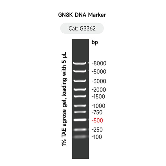 G3362: GN8K DNA Marker 500 μL