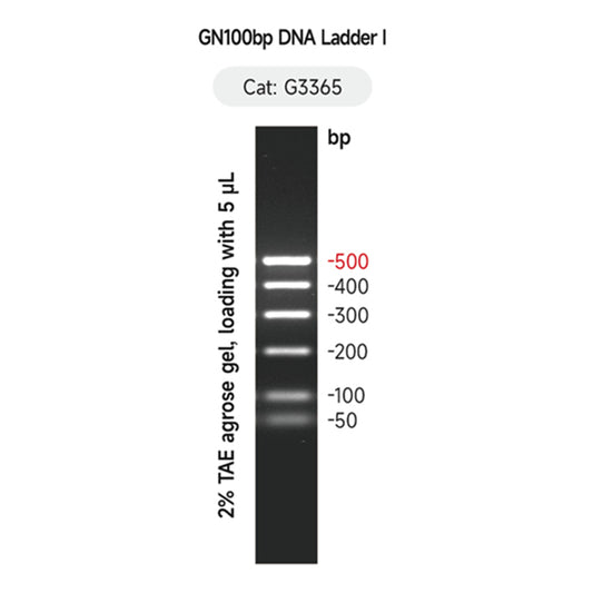 G3365: GN100bp DNA Ladder 500 μL