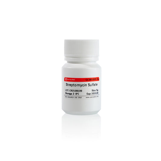 GC301005: Streptomycin Sulfate, 5g