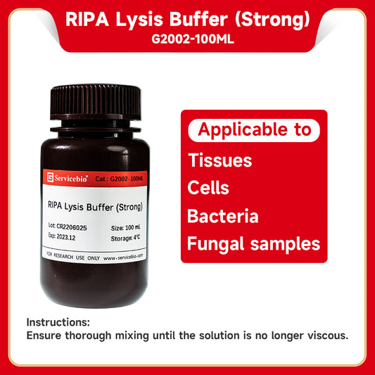 GL2002 (GL2033): RIPA Lysis Buffer (strong, weak)