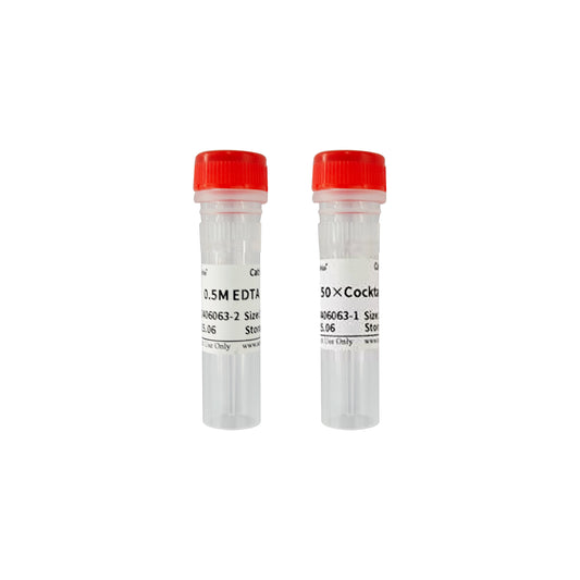 GL2006: 50×Cocktail Protease Inhibitor, 250ul