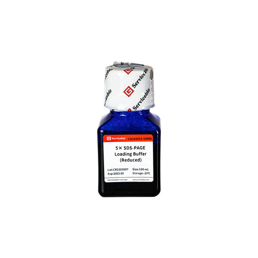 GL2013: 5×Protein loading buffer (reduced), 10ml/100ml