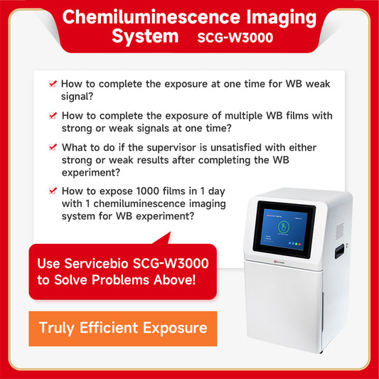 SCG-W3000: Chemiluminescence Imaging System