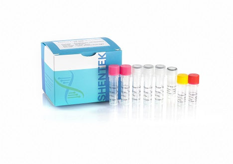 1201201-1: SHENTEK®  Residual E.coli RNA Quantitation Kit (2G)