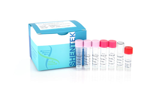 SK030208N100: SHENTEK® Residual NS0 & SP2/0 DNA Quantitation Kit